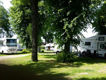 Tree-shaded motorhome pitches