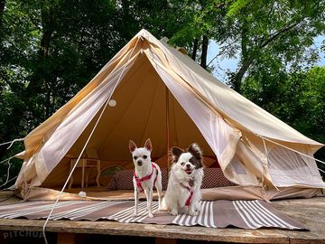 Margherita bell tent (added by manager 14 jun 2021)