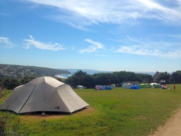 The main field