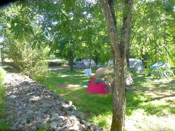 Pitches shaded by trees