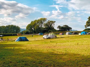 View across the pitches