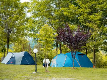 Tents shaded by trees (added by manager 25 jan 2024)