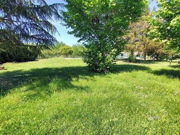 View of the site