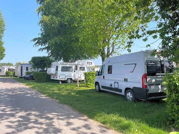 Grass pitches