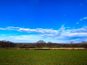 The meadow