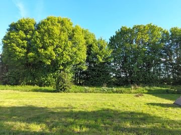Partially shaded grass pitches