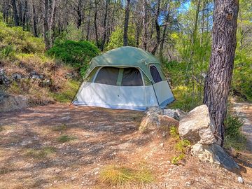 Shaded pitches among the trees