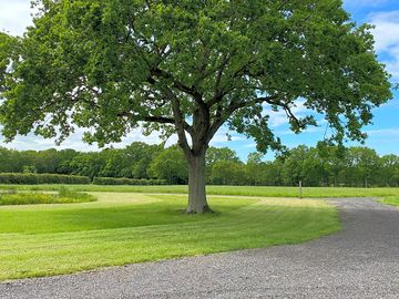 Camping site