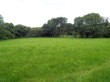 The camping field (added by manager 26 jul 2022)