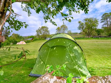 Grass tent pitches (added by manager 28 may 2024)