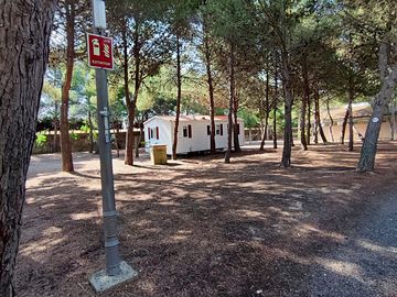 Peaceful shaded pitches
