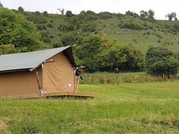 Safari tent