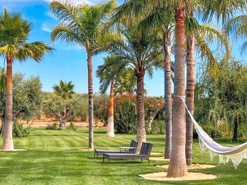 Palm trees with shade and hammock (added by manager 13 oct 2022)