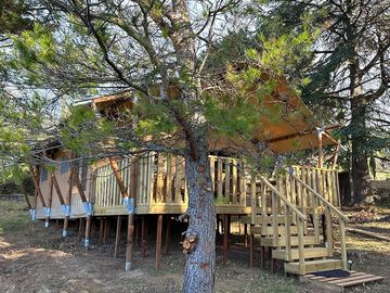 Safari tent accessed by wooden steps
