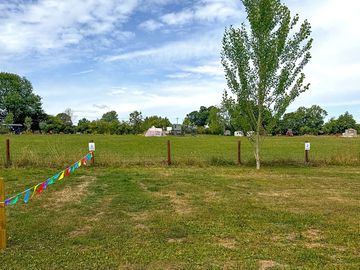Grass pitches