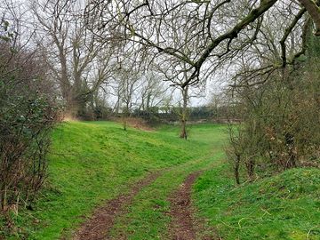 Camping field by the brew-pub