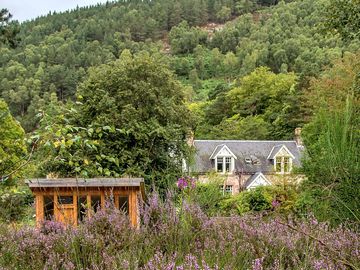Cosy hut surrounded by plants