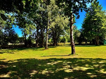 Summer view