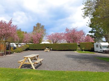 Level pitches and picnic tables