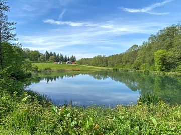 Pitches close to the lake (added by manager 28 jul 2022)