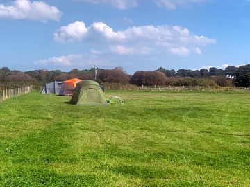 View of tents in the field (added by manager 17 aug 2023)