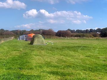 View of tents in the field