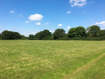 Sunny days at meadows edge (added by manager 17 aug 2021)