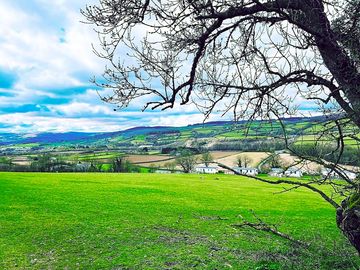 Views from the dog walking fields