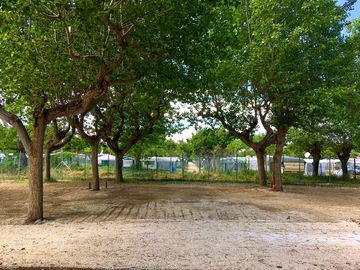Large pitch