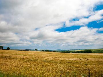 On the farm