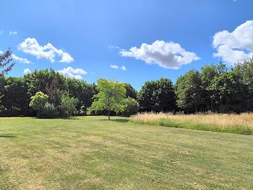 The meadow