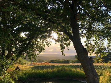 View across the duck pond (added by manager 09 mar 2023)