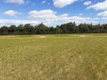 Large and well-spaced pitches