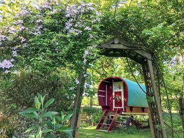 Walk through the archway of roses and clematis to the grassy area outside the pretty gypsy van (added by manager 18 oct 2023)