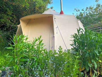 Bell tent surrounded by greenery (added by manager 12 jun 2023)
