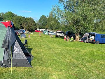 Sunny day down at the meadow