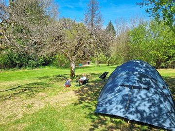 Pitches in sun or shade