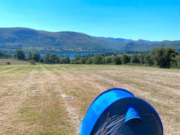 View from the pitches