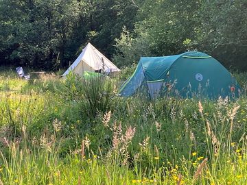 Choose your own pitch in the meadow campsite (added by manager 14 jul 2023)