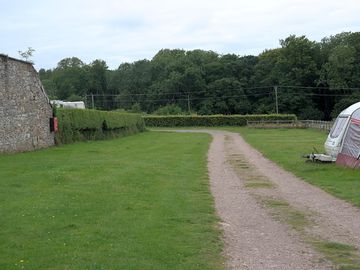 Meadow field (added by manager 28 jun 2017)