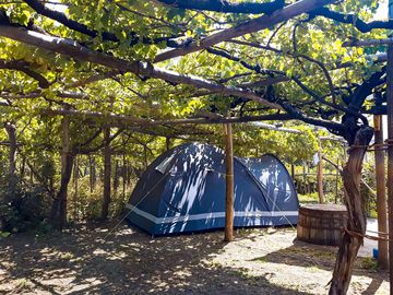 Tent pitches in the vineyard (added by manager 14 oct 2022)