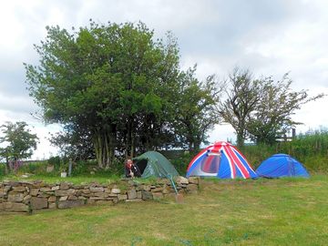 Electric grass tent pitch
