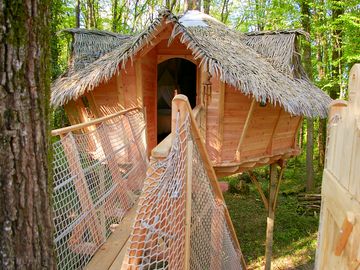 Écureuils treehouse