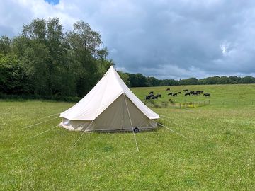 Bell tent exterior (added by manager 20 oct 2021)