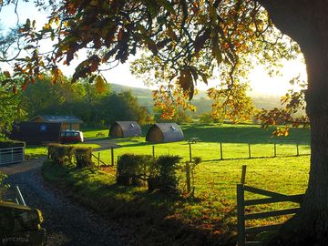 An autumn day on site