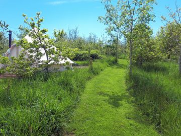 Middle path