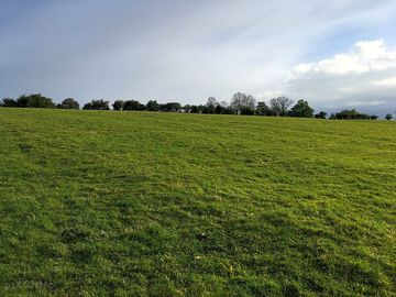 Grass pitches