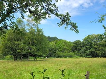 Peaceful camping field