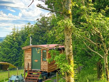 Hut next to woods