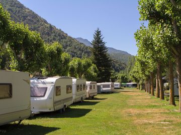 Grass pitches surrounded by trees